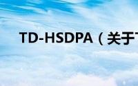 TD-HSDPA（关于TD-HSDPA的简介）