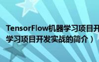 TensorFlow机器学习项目开发实战（关于TensorFlow机器学习项目开发实战的简介）