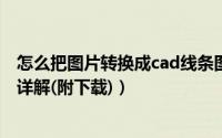 怎么把图片转换成cad线条图（R2V图片转CAD矢量图方法详解(附下载)）