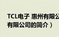 TCL电子 惠州有限公司（关于TCL电子 惠州有限公司的简介）