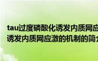 tau过度磷酸化诱发内质网应激的机制（关于tau过度磷酸化诱发内质网应激的机制的简介）