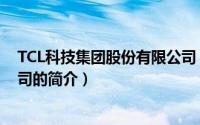 TCL科技集团股份有限公司（关于TCL科技集团股份有限公司的简介）