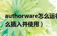 authorware怎么运行（Authorware控件怎么插入并使用）