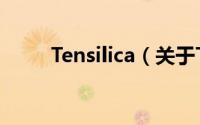 Tensilica（关于Tensilica的简介）