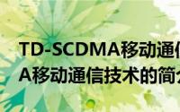 TD-SCDMA移动通信技术（关于TD-SCDMA移动通信技术的简介）