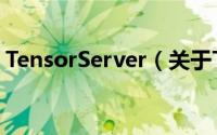 TensorServer（关于TensorServer的简介）