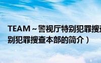 TEAM～警视厅特别犯罪搜查本部（关于TEAM～警视厅特别犯罪搜查本部的简介）