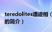 teredolites遗迹相（关于teredolites遗迹相的简介）