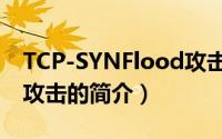 TCP-SYNFlood攻击（关于TCP-SYNFlood攻击的简介）