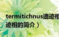 termitichnus遗迹相（关于termitichnus遗迹相的简介）