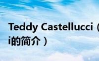 Teddy Castellucci（关于Teddy Castellucci的简介）