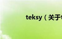 teksy（关于teksy的简介）