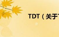 TDT（关于TDT的简介）