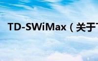 TD-SWiMax（关于TD-SWiMax的简介）