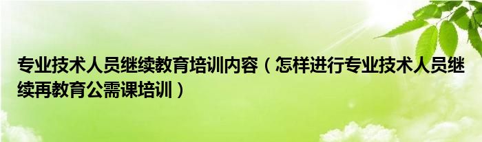 专业技术人员继续教育培训内容怎样进行专业技术人员继续再教育公需课