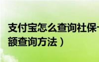 支付宝怎么查询社保卡余额（支付宝社保卡余额查询方法）