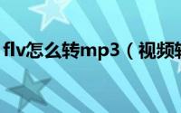 flv怎么转mp3（视频转音频,flv转mp3教程）