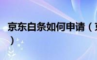 京东白条如何申请（京东商城打白条申请方法）