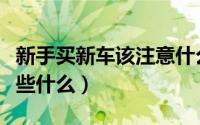 新手买新车该注意什么事项（新手买车要注意些什么）