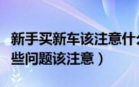 新手买新车该注意什么问题（新手买新车有哪些问题该注意）