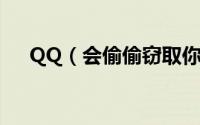 QQ（会偷偷窃取你的隐私请慎重选择）