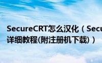 SecureCRT怎么汉化（SecureCRT8.5汉化安装及激活注册详细教程(附注册机下载)）