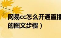 网易cc怎么开通直播权限（网易cc直播游戏的图文步骤）