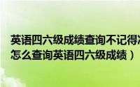 英语四六级成绩查询不记得准考证号（支付宝没有准考证号怎么查询英语四六级成绩）