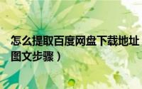 怎么提取百度网盘下载地址（提取百度网盘下载地址的详细图文步骤）