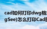 cad如何打印dwg格式（看cad图纸软件(DwgSee)怎么打印Cad图纸）