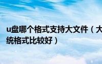 u盘哪个格式支持大文件（大容量的U盘该选择哪一种文件系统格式比较好）