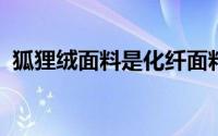 狐狸绒面料是化纤面料吗狐狸绒是什么面料