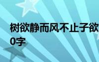 树欲静而风不止子欲养而亲不待是什么意思20字