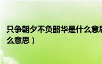 只争朝夕不负韶华是什么意思 新闻（只争朝夕不负韶华是什么意思）