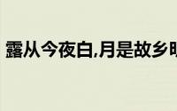 露从今夜白,月是故乡明出自哪首诗 哪个节气