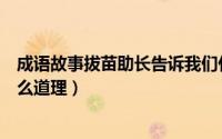 成语故事拔苗助长告诉我们什么道理（拔苗助长告诉我们什么道理）