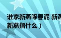 谁家新燕啄春泥 新燕是指（谁家新燕啄春泥新燕指什么）