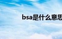 bsa是什么意思（bsa的解释）