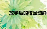 放学后的校园动静结合写一段话30字