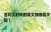 吉利又好听的英文微信名字（英文吉利好听的微信名称怎么起）