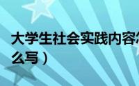 大学生社会实践内容怎么写（社会实践内容怎么写）