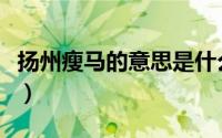 扬州瘦马的意思是什么（扬州瘦马是什么意思）