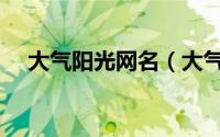 大气阳光网名（大气阳光的网名有哪些）