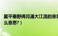 星平垂野阔月涌大江流的意思（星垂平野阔,月涌大江流是什么意思?）