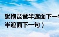 犹抱琵琶半遮面下一句是什么套路（犹抱琵琶半遮面下一句）