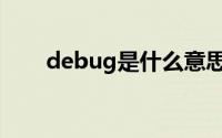 debug是什么意思（debug的意思）