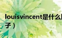 louisvincent是什么牌子（louisam是什么牌子）