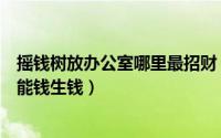 摇钱树放办公室哪里最招财（办公室发财树应对准哪些位置能钱生钱）