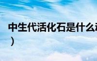 中生代活化石是什么动物（活化石是什么动物）