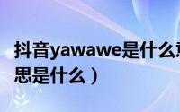 抖音yawawe是什么意思（抖音yawawe的意思是什么）